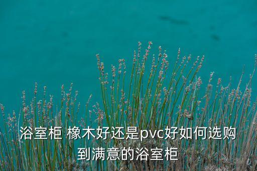 衛(wèi)浴橡木怎么選擇品牌型號(hào)