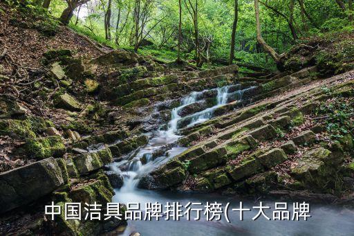 中國(guó)潔具品牌排行榜(十大品牌