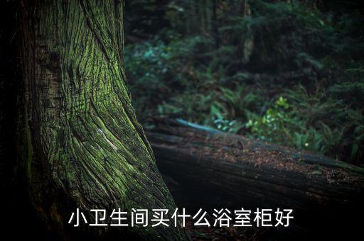 朵納衛(wèi)浴屬于什么檔次品牌