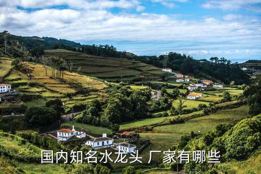 國(guó)內(nèi)知名水龍頭 廠家有哪些