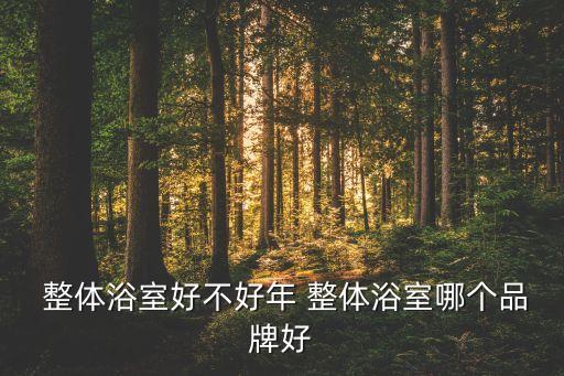 嘉興整體衛(wèi)浴按需定制品牌