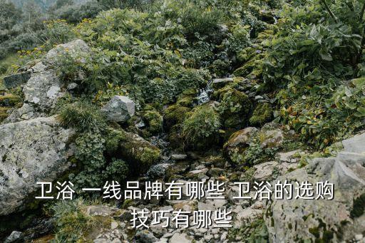  衛(wèi)浴 一線品牌有哪些 衛(wèi)浴的選購技巧有哪些