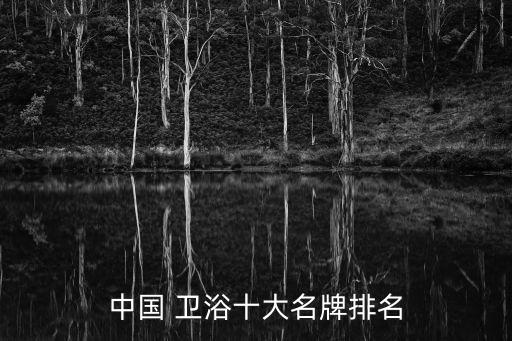 中國 衛(wèi)浴十大名牌排名