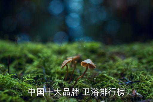 衛(wèi)浴家具名稱及圖片大全,衛(wèi)浴配件名稱及圖片