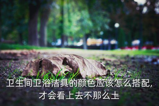 衛(wèi)生間衛(wèi)浴潔具的顏色應(yīng)該怎么搭配,才會看上去不那么土