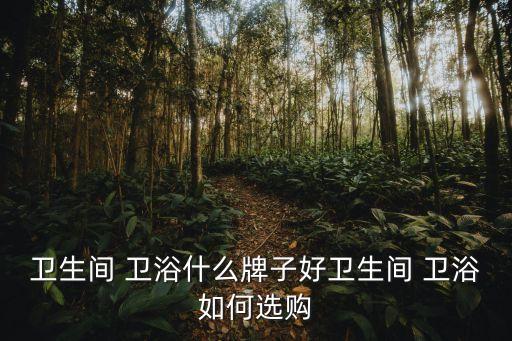 衛(wèi)生間 衛(wèi)浴什么牌子好衛(wèi)生間 衛(wèi)浴如何選購