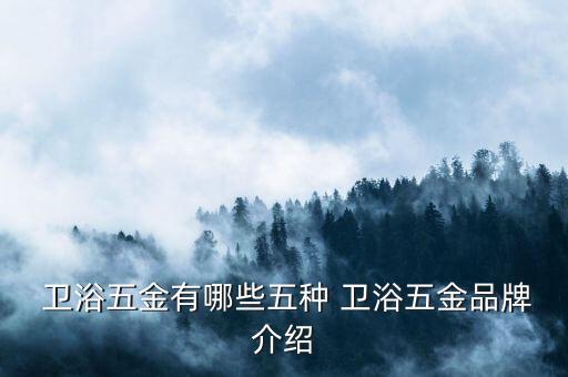  衛(wèi)浴五金有哪些五種 衛(wèi)浴五金品牌介紹