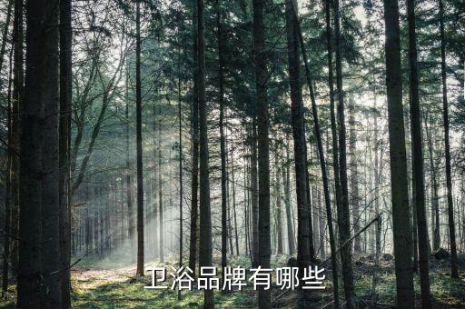  衛(wèi)浴品牌有哪些