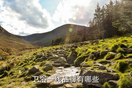 衛(wèi)浴一線品牌有哪些
