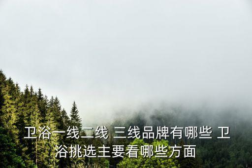  衛(wèi)浴一線二線 三線品牌有哪些 衛(wèi)浴挑選主要看哪些方面