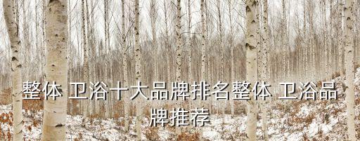 中檔水暖衛(wèi)浴品牌排行榜,泉州南安水暖衛(wèi)浴品牌