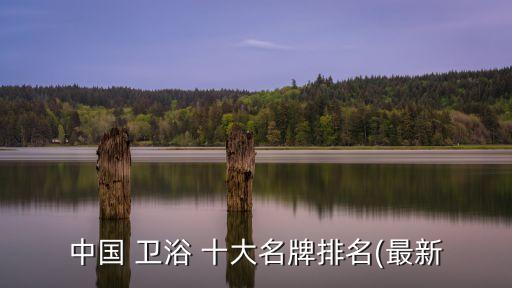 中國(guó) 衛(wèi)浴 十大名牌排名(最新
