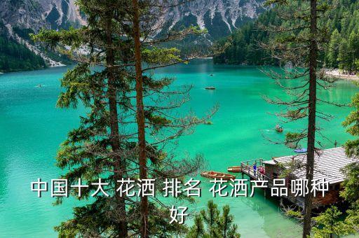 浴室衛(wèi)浴花灑品牌排名,衛(wèi)浴花灑哪個(gè)品牌性?xún)r(jià)比最高