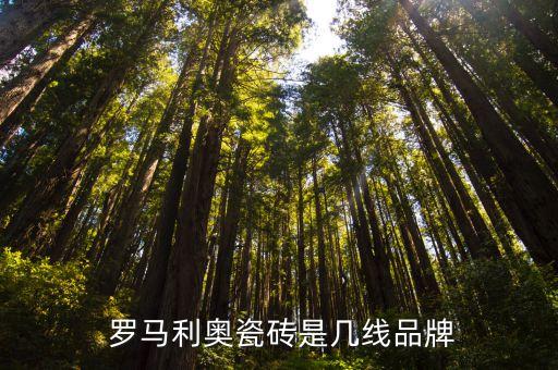 羅馬衛(wèi)浴裝修設(shè)計圖片,衛(wèi)浴門市裝修設(shè)計效果圖