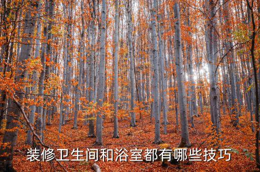 裝修衛(wèi)生間和浴室都有哪些技巧