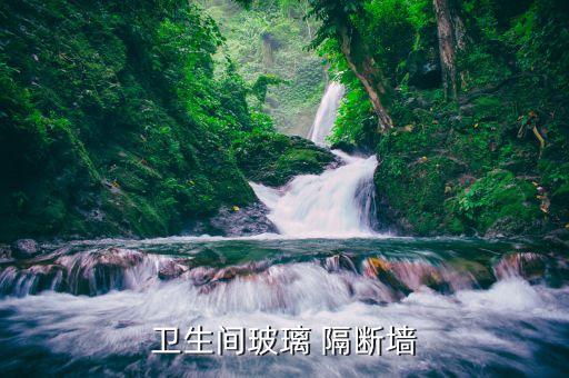 衛(wèi)浴轉(zhuǎn)角隔斷效果圖片高清