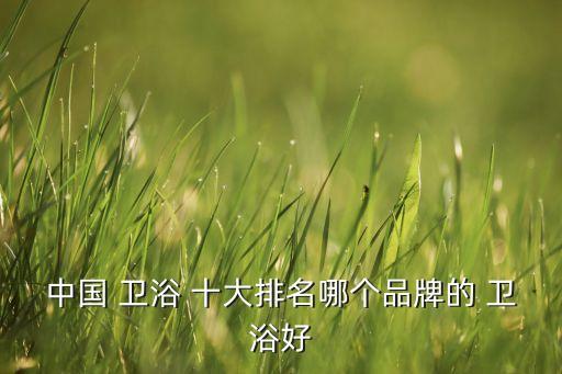 衛(wèi)浴十大品牌不銹鋼,中國十大衛(wèi)浴品牌最新排名