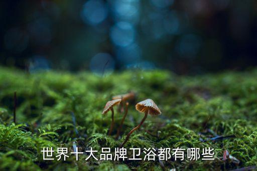 世界十大品牌衛(wèi)浴都有哪些