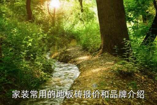 家裝常用的地板磚報(bào)價(jià)和品牌介紹