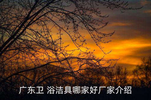 蓋州市衛(wèi)浴潔具零售店地址