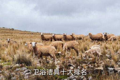 衛(wèi)浴潔具十大排名