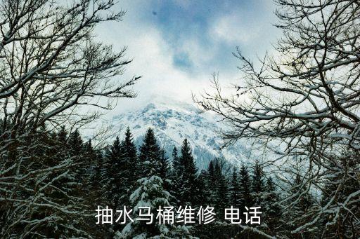 抽水馬桶維修 電話