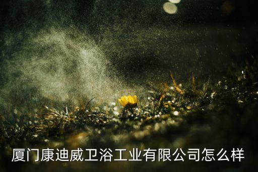 廈門康迪威衛(wèi)浴工業(yè)有限公司怎么樣