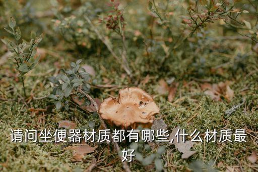 請問坐便器材質(zhì)都有哪些,什么材質(zhì)最好