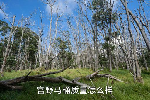 宮野馬桶質(zhì)量怎么樣
