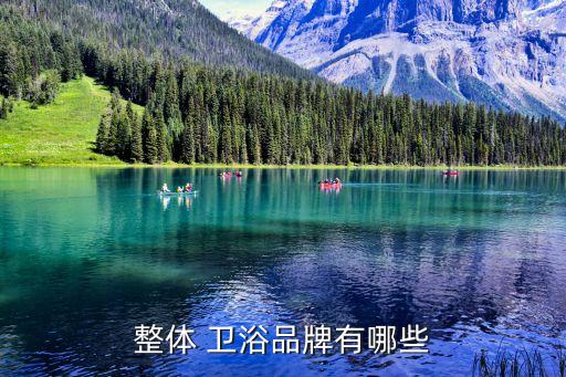 整體 衛(wèi)浴品牌有哪些
