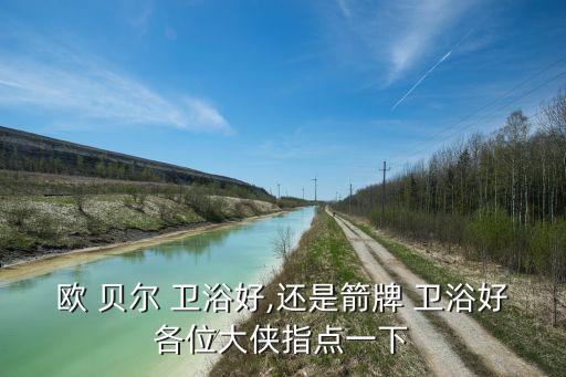 歐 貝爾 衛(wèi)浴好,還是箭牌 衛(wèi)浴好各位大俠指點一下
