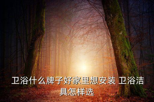 衛(wèi)浴洗手池買(mǎi)品牌的好嗎