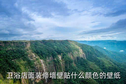  衛(wèi)浴店面裝修墻壁貼什么顏色的壁紙
