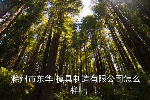  滁州市東華 模具制造有限公司怎么樣