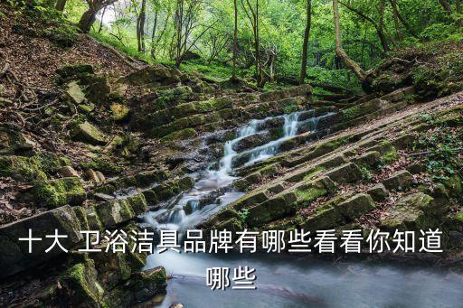 十大 衛(wèi)浴潔具品牌有哪些看看你知道哪些