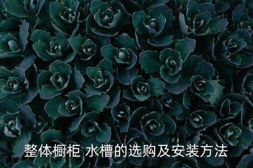 整體櫥柜 水槽的選購及安裝方法