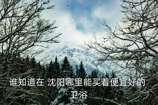 沈陽(yáng)衛(wèi)浴推薦品牌大全,紅星美凱龍衛(wèi)浴品牌大全