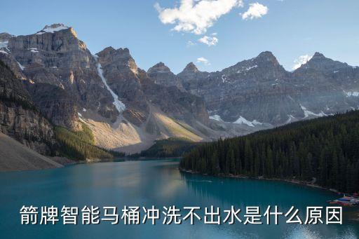  箭牌智能馬桶沖洗不出水是什么原因