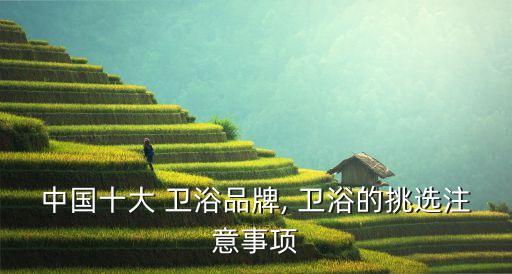 中國十大 衛(wèi)浴品牌, 衛(wèi)浴的挑選注意事項