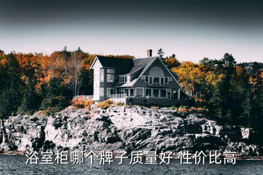 浴室柜哪個(gè)牌子質(zhì)量好 性價(jià)比高