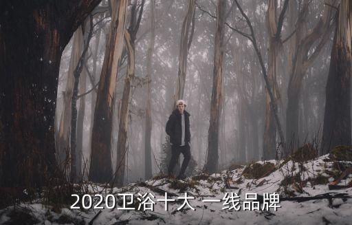 2020衛(wèi)浴十大 一線品牌