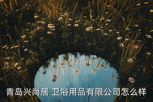 青島興尚居 衛(wèi)浴用品有限公司怎么樣