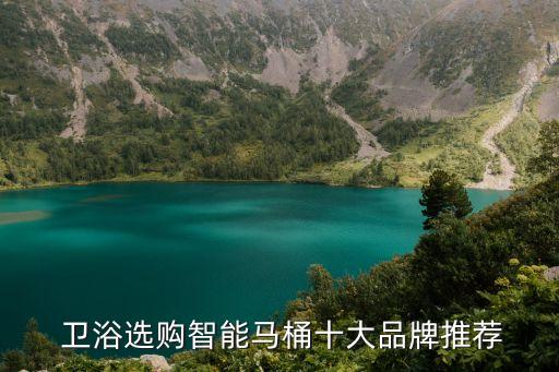真正衛(wèi)浴達(dá)人有哪些品牌