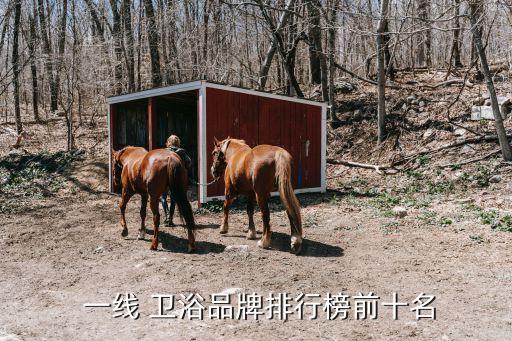  一線 衛(wèi)浴品牌排行榜前十名