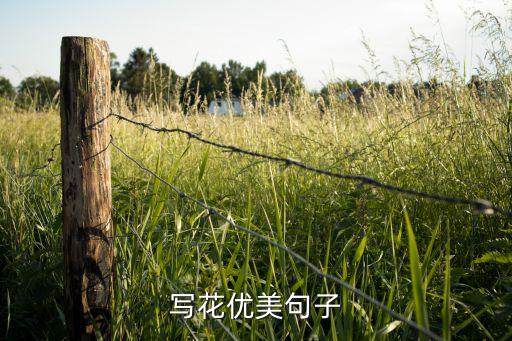 衛(wèi)浴架子金色好看嗎圖片,服裝店架子金色好看還是銀色