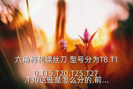六角梅花螺絲刀 型號分為T8.T10.T15.T20.T25.T27.T30這些是怎么分的,前...