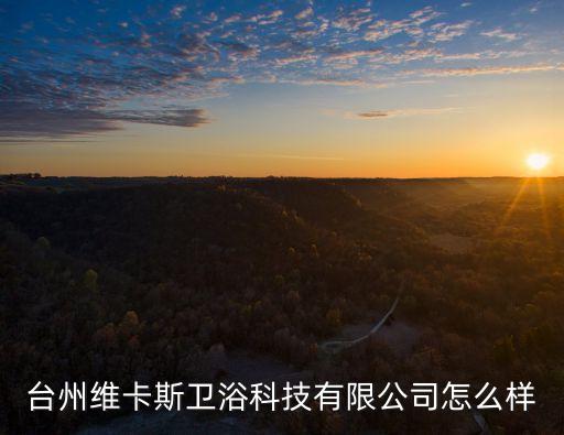 臺(tái)州維卡斯衛(wèi)浴科技有限公司怎么樣