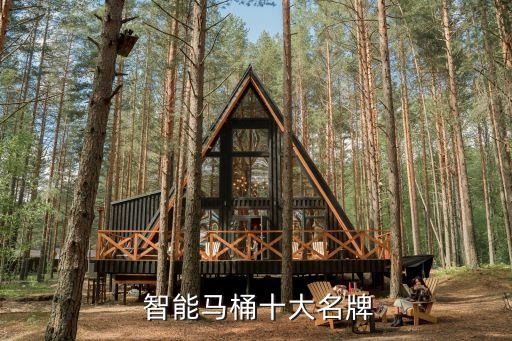  智能馬桶十大名牌
