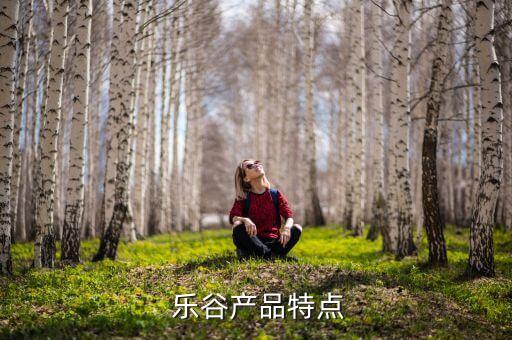 樂(lè)谷產(chǎn)品特點(diǎn)