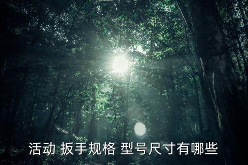 活動 扳手規(guī)格 型號尺寸有哪些